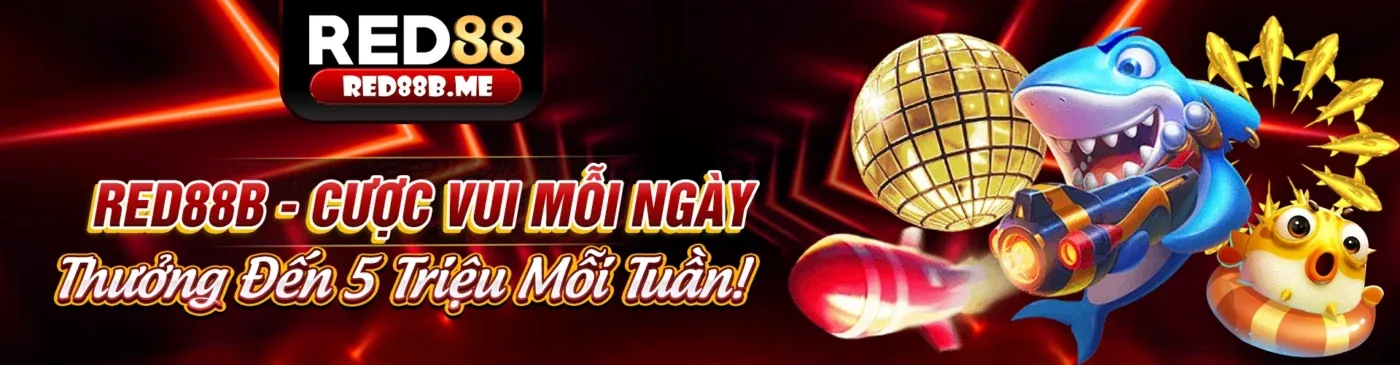 Điều khoản Dịch vụ 8kbets khuyến mãi
