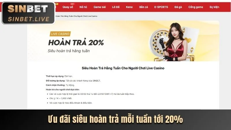 Lợi ích độc quyền dành cho thành viên VIP 8kbets